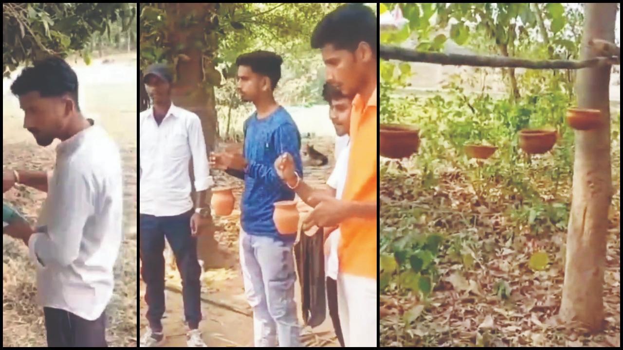 દાણાની ઢગલીઓ અને પાણી પીવાની માટીની છાબડીઓ લટકાવતાં લોકો