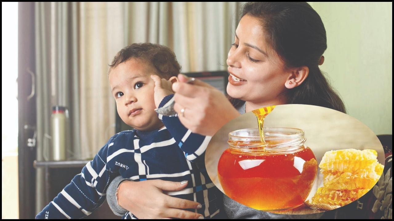 પ્રતીકાત્મક તસવીર