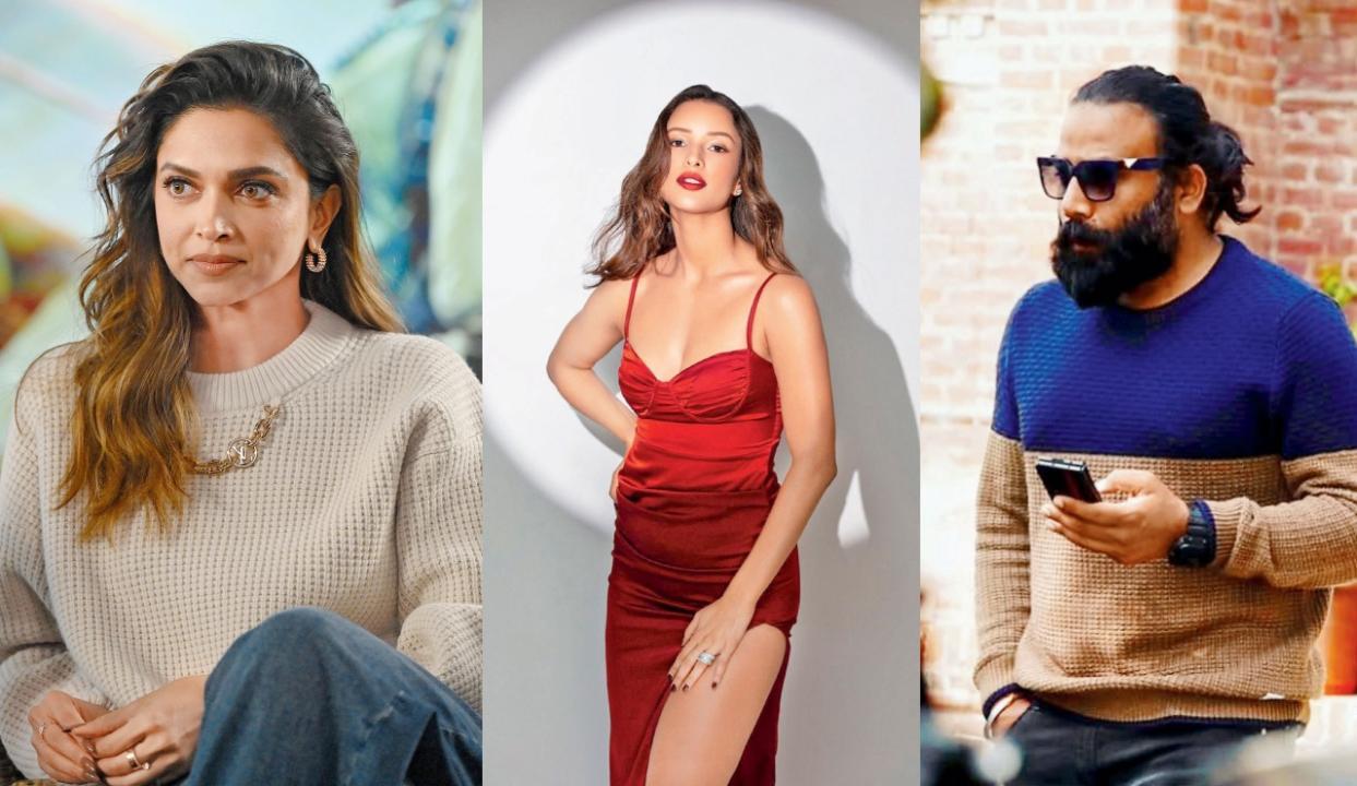 દીપિકા પાદુકોણ, તૃપ્તિ ડિમરી, સંદીપ રેડ્ડી