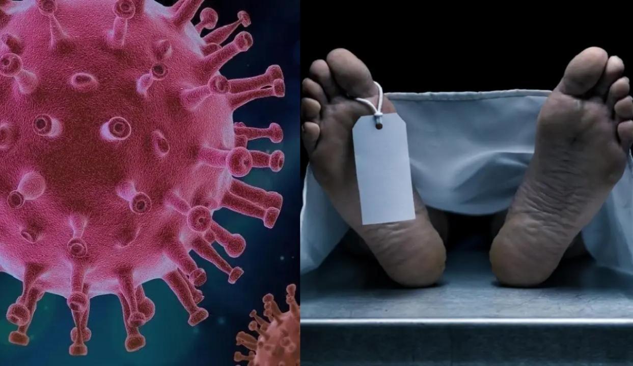 પ્રતીકાત્મક તસવીર