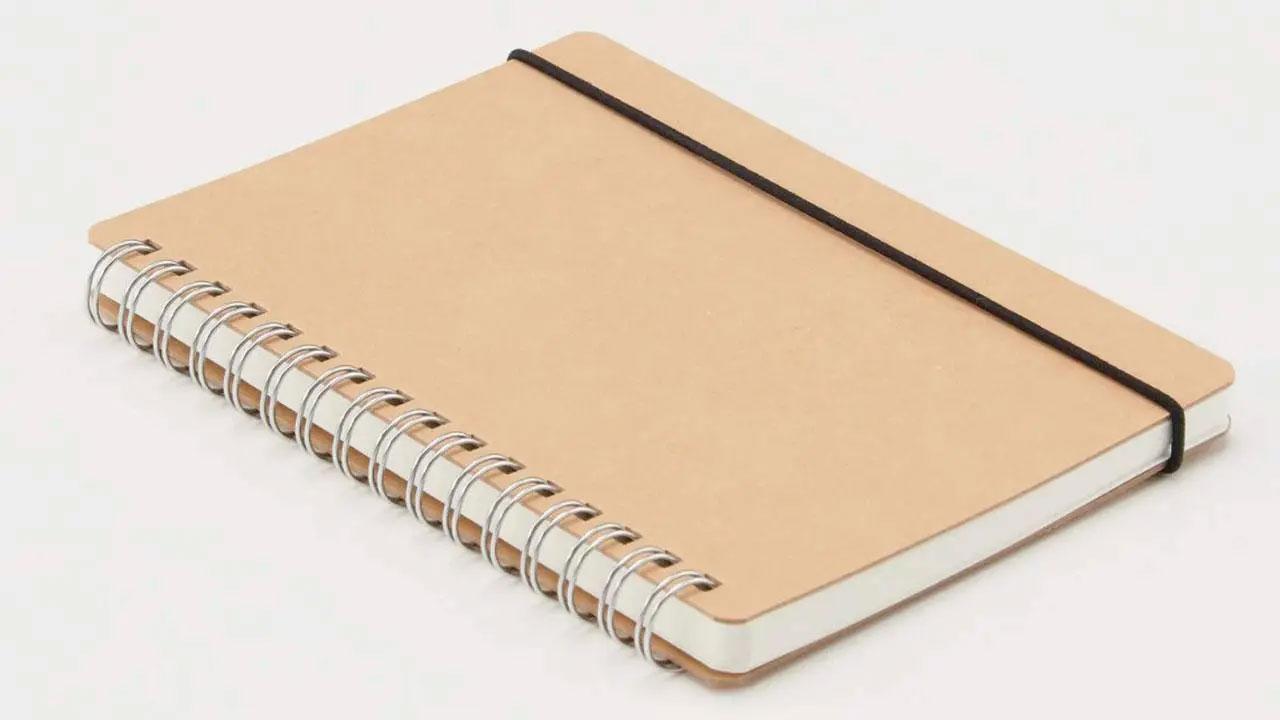 પ્રતીકાત્મક તસવીર