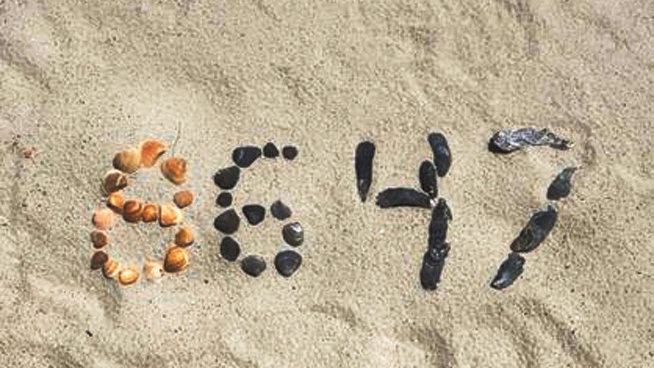 ૬૪ વર્ષના જેમ્સ કોમીએ એક બીચ પર છીપલાંની મદદથી રેતીમાં 8647 એવા આંકડા લખીને તસવીર ઇન્સ્ટાગ્રામ પર પોસ્ટ કરી હતી