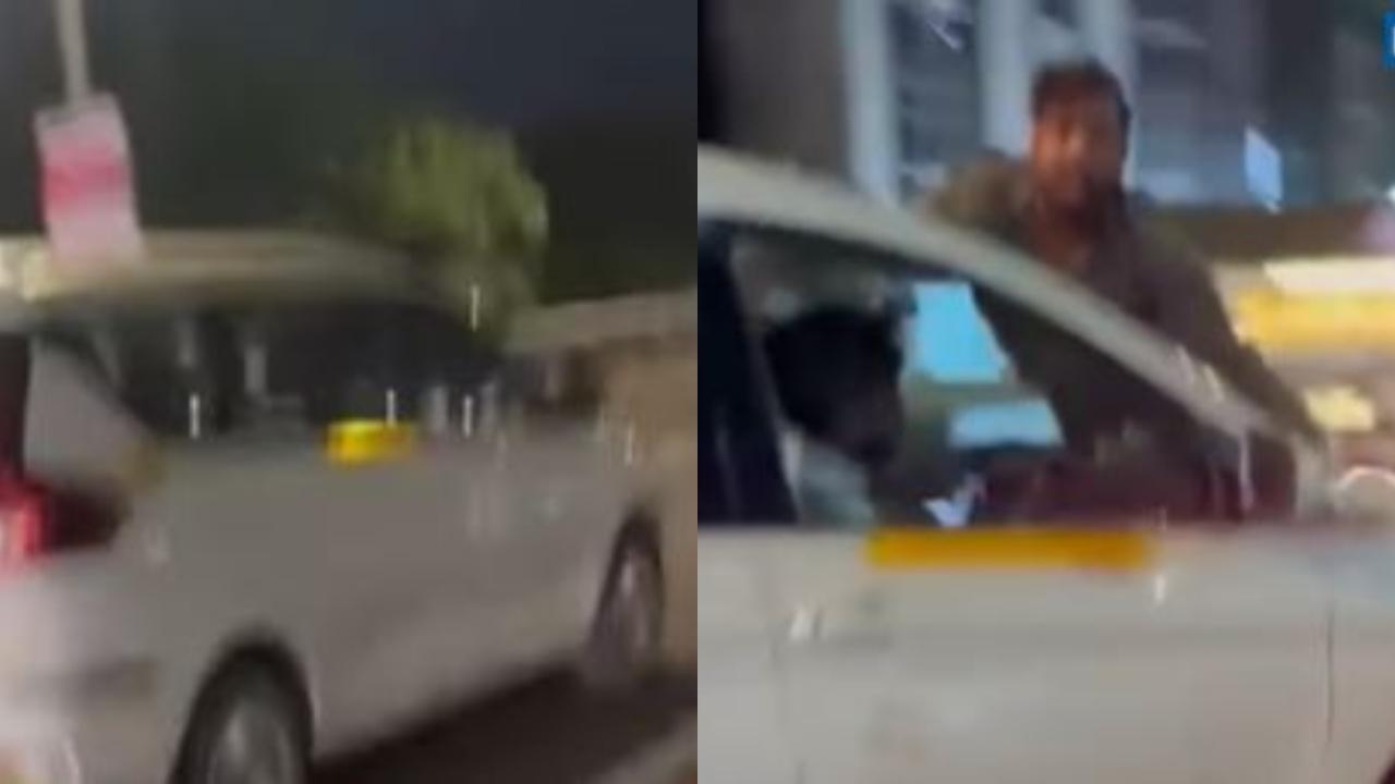 વીડિયોમાંથી લીધેલા સ્ક્રિનશૉટ