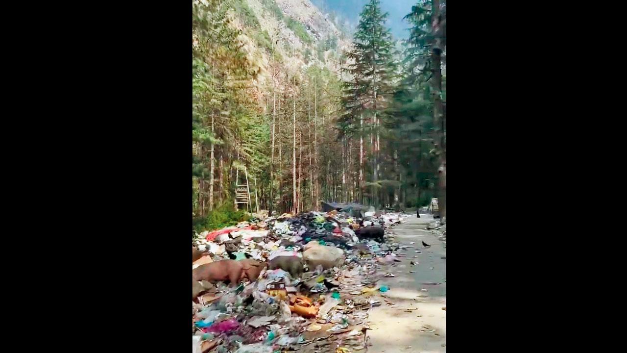 તસવીર સૌજન્ય : સોશ્યલ મીડિયા