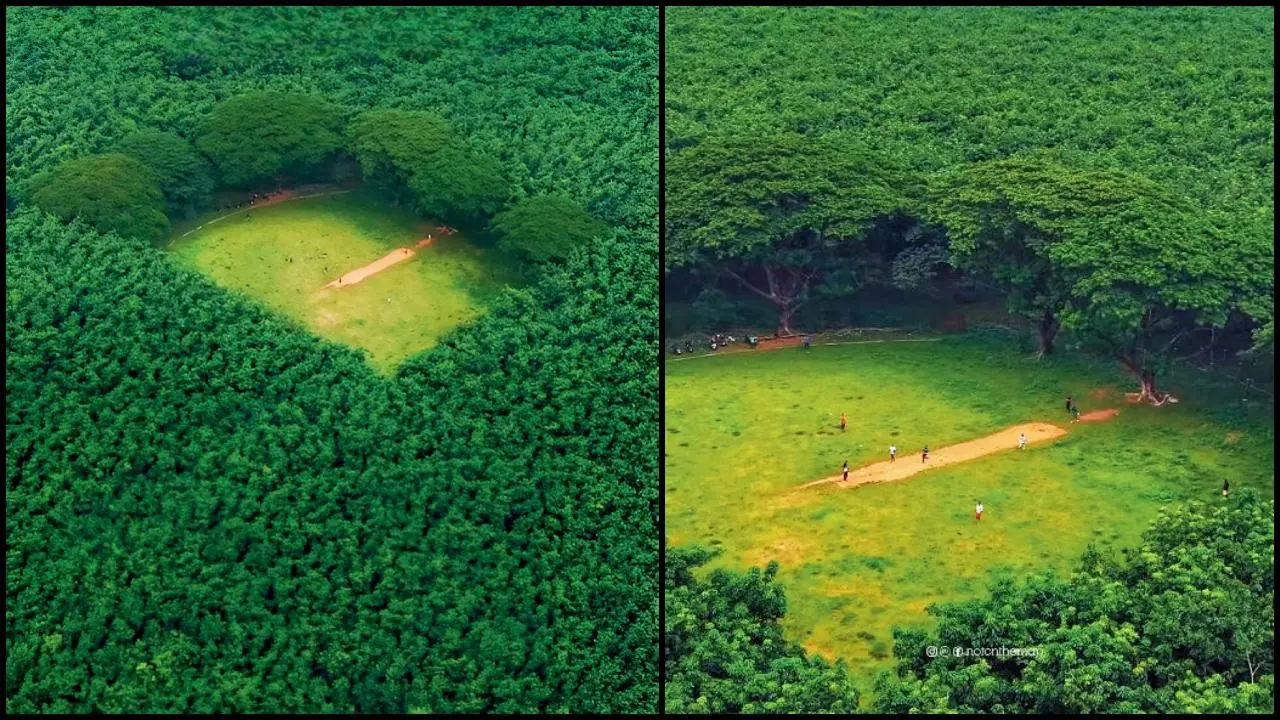 ક્રિકેટ મેદાન