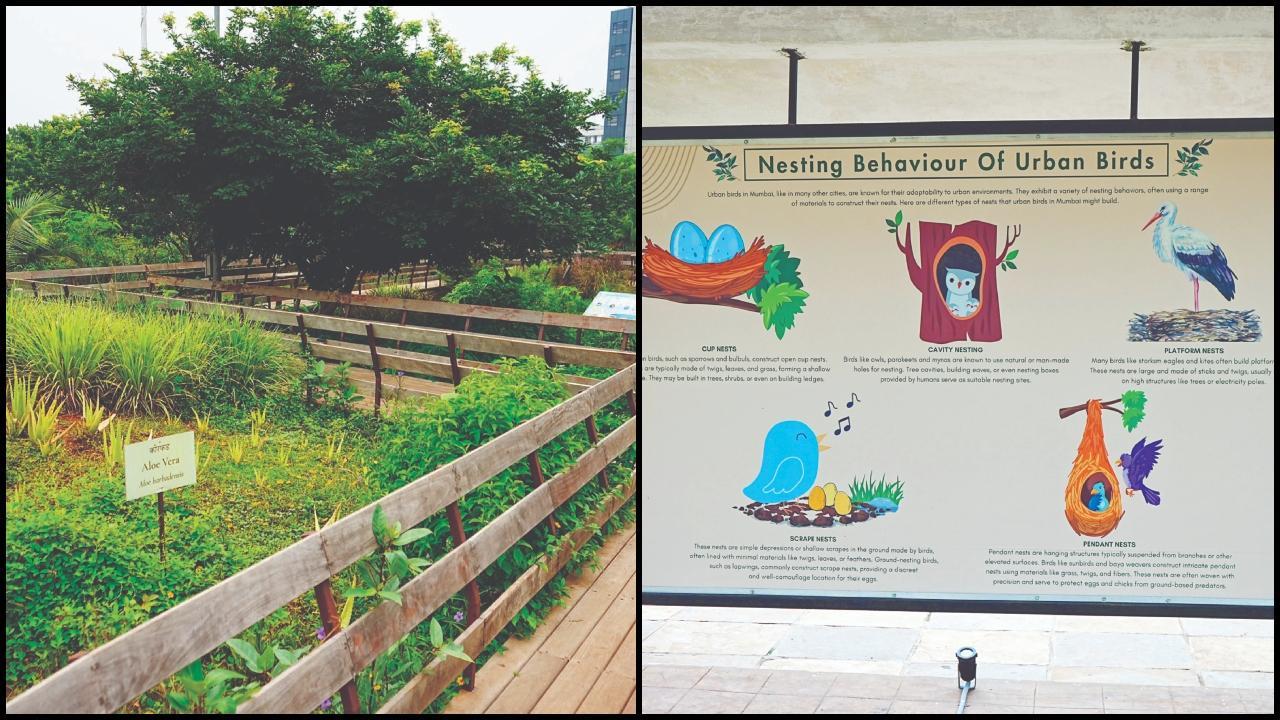  મરોલમાં સાડાત્રણ એકરમાં ફેલાયેલું ગાર્ડન 