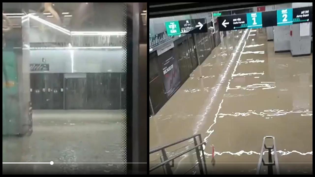 વાયરલ વીડિયોમાંથી સ્ક્રીન શૉટ  (તસવીર: સોશિયલ મીડિયા)