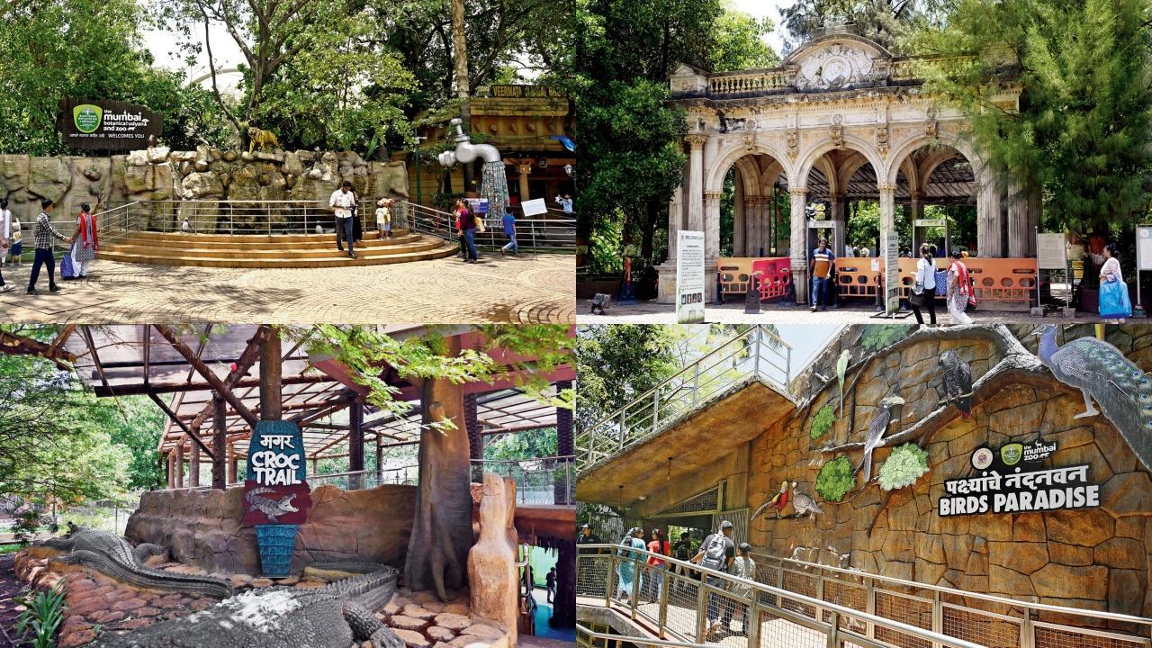 તસવીરો: આશિષ રાજે