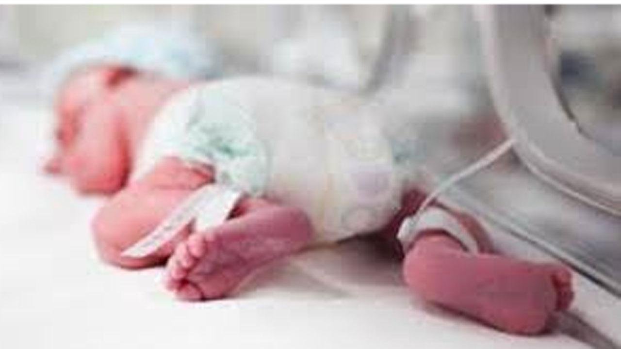 પ્રતીકાત્મક તસવીર