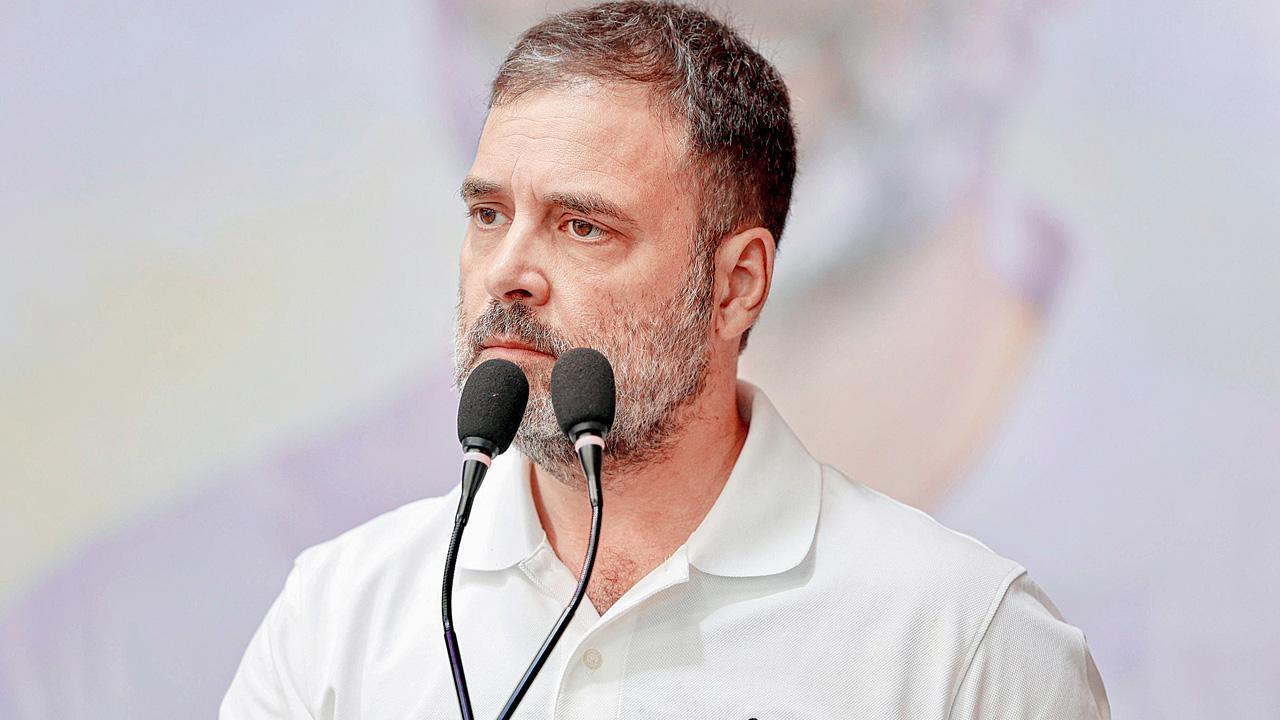 રાહુલ ગાંધીની ફાઇલ તસવીર