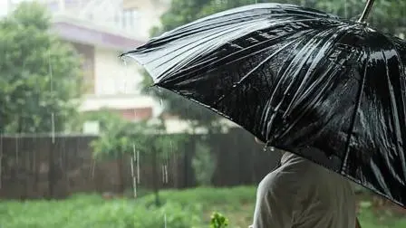પ્રતીકાત્મક તસવીર
