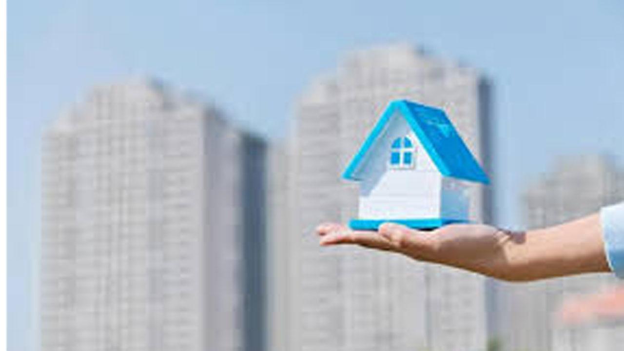 પ્રતીકાત્મક તસવીર