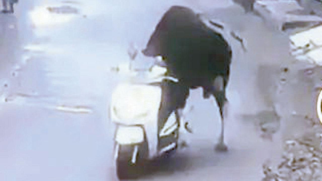 CCTV કૅમેરામાં કેદ ઘટના