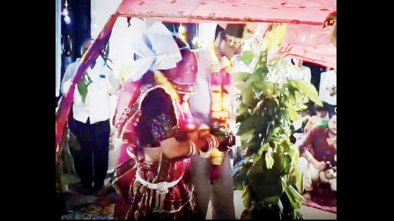 દુલ્હા-દુલ્હને છોડની સાક્ષીએ સાત ફેરા લીધા