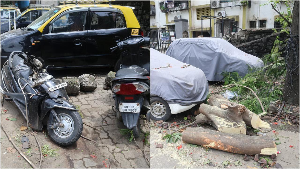 તસવીર સૌજન્ય : સોશિયલ મીડિયા