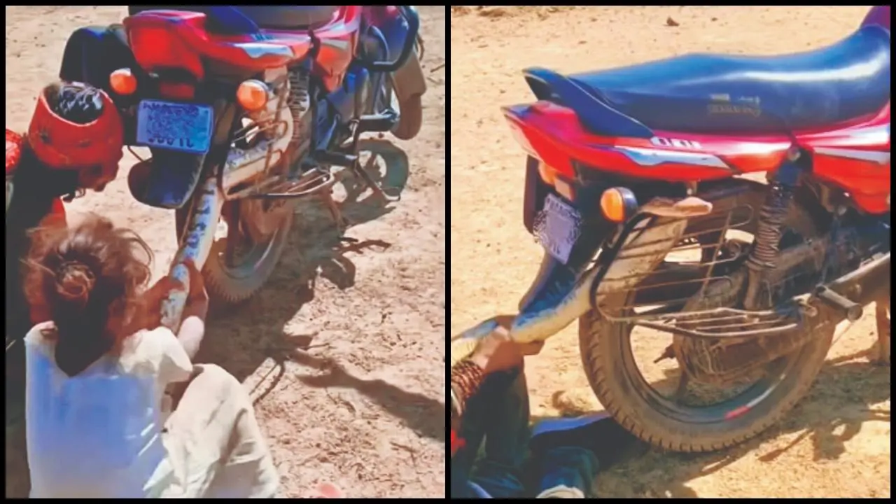 વાયરલ વીડિયોનો સ્ક્રીનગ્રૅબ