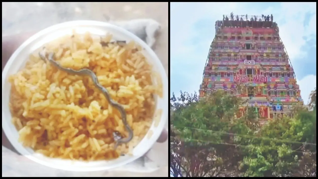 મંદિરના પ્રસાદમાં મળ્યું સાપનું બચ્ચું