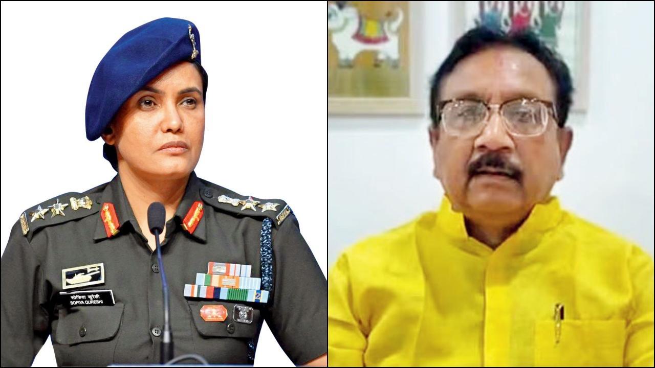 કર્નલ સોફિયા કુરેશી, વિજય શાહ