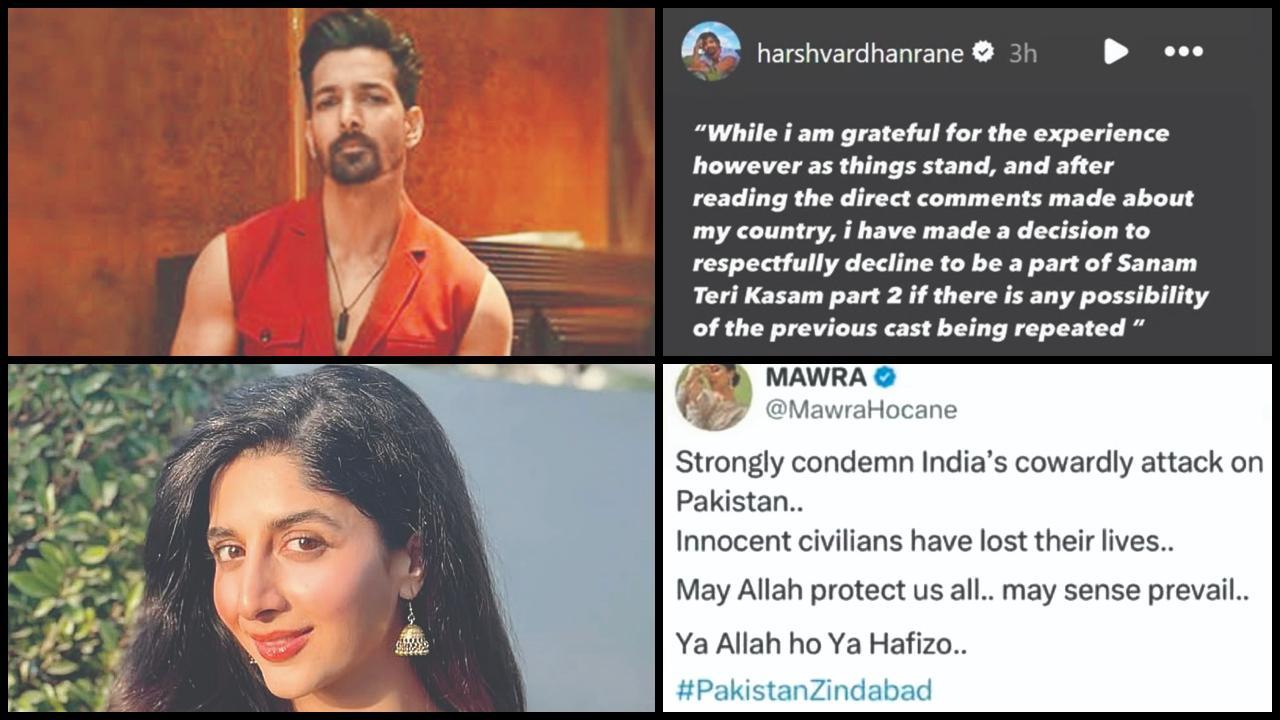 હર્ષવર્ધન રાણે અને માવરા હોકેન અને તેમના નિવેદન