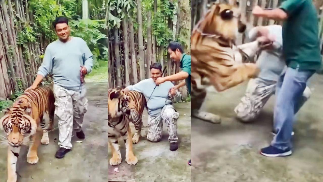તસવીર સૌજન્ય : સોશ્યલ મીડિયા