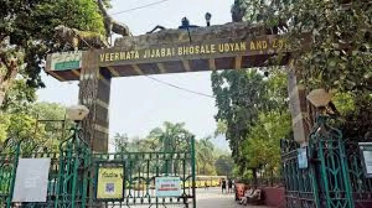 પ્રતીકાત્મક તસવીર