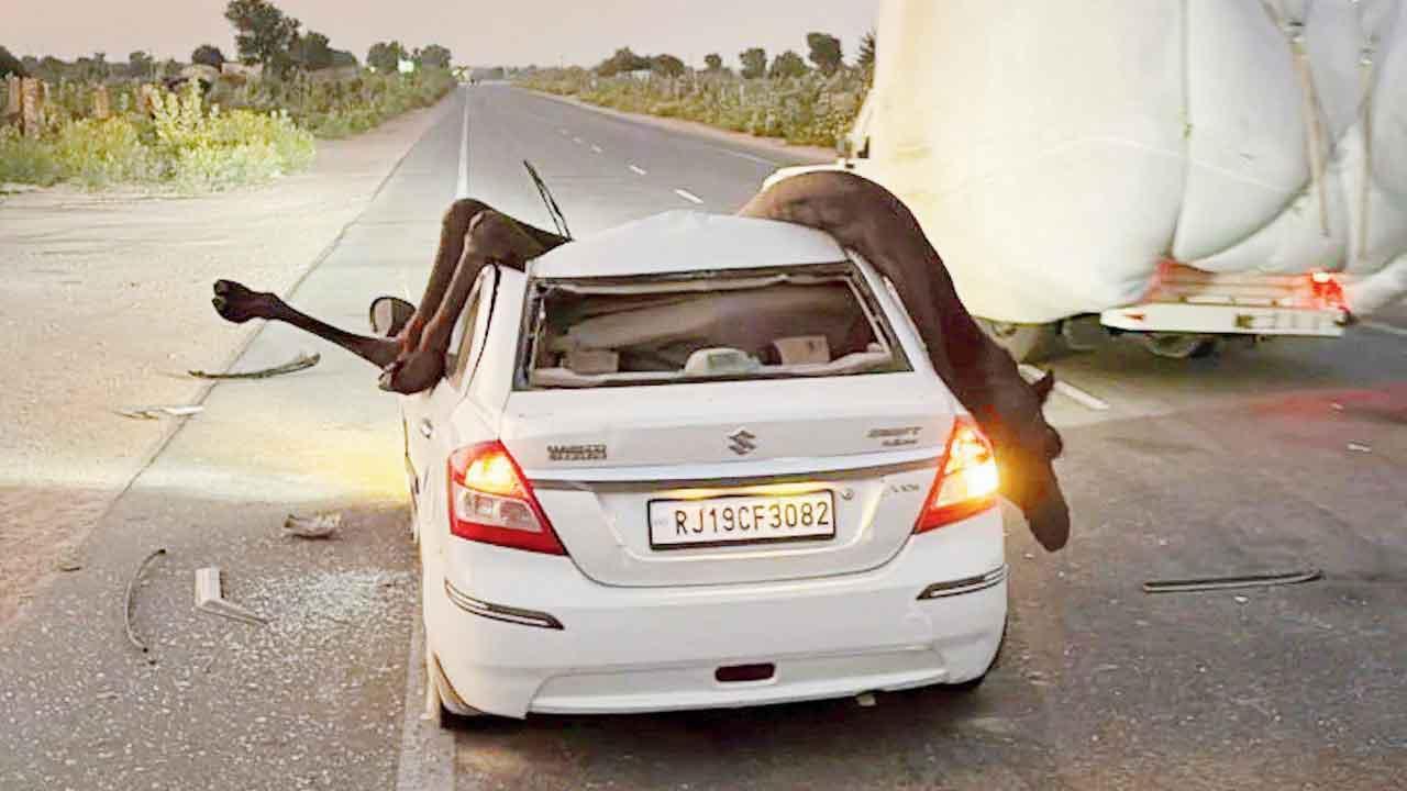 ટક્કર સે ગિરા, કાર મેં અટકા