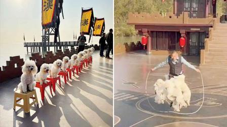 ૧૦ ડૉગી સાથે એક મિનિટમાં ૨૫ દોરડા કૂદ્યા આ ચીની ભાઈ