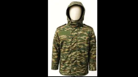 ફાઇલ તસવીર