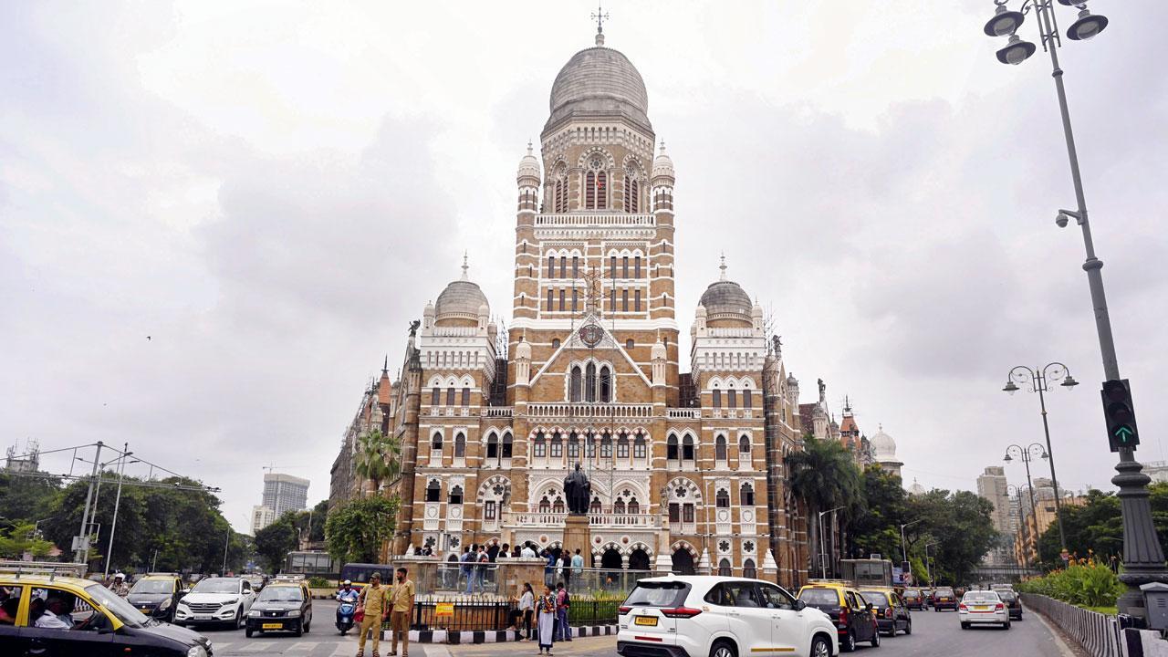 પ્રતીકાત્મક તસવીર