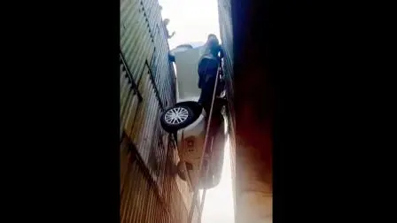 તસવીર સૌજન્યઃ સોશ્યલ મીડિયા