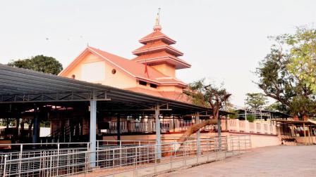 સાતપુડાના પર્વતોની વચ્ચે પ્રકૃતિની ગોદમાં દેવમોગરાધામ આવેલું છે