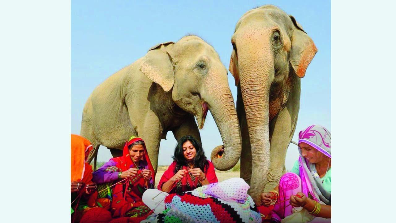 મથુરામાં વાઇલ્ડલાઇફ એલિફન્ટ કન્ઝર્વેશન ઍન્ડ કૅર સેન્ટરની પાસે એક ગામની મહિલાઓ રંગબેરંગી જાયન્ટ પાયજામા અને સ્વેટર ગૂંથી રહી છે.