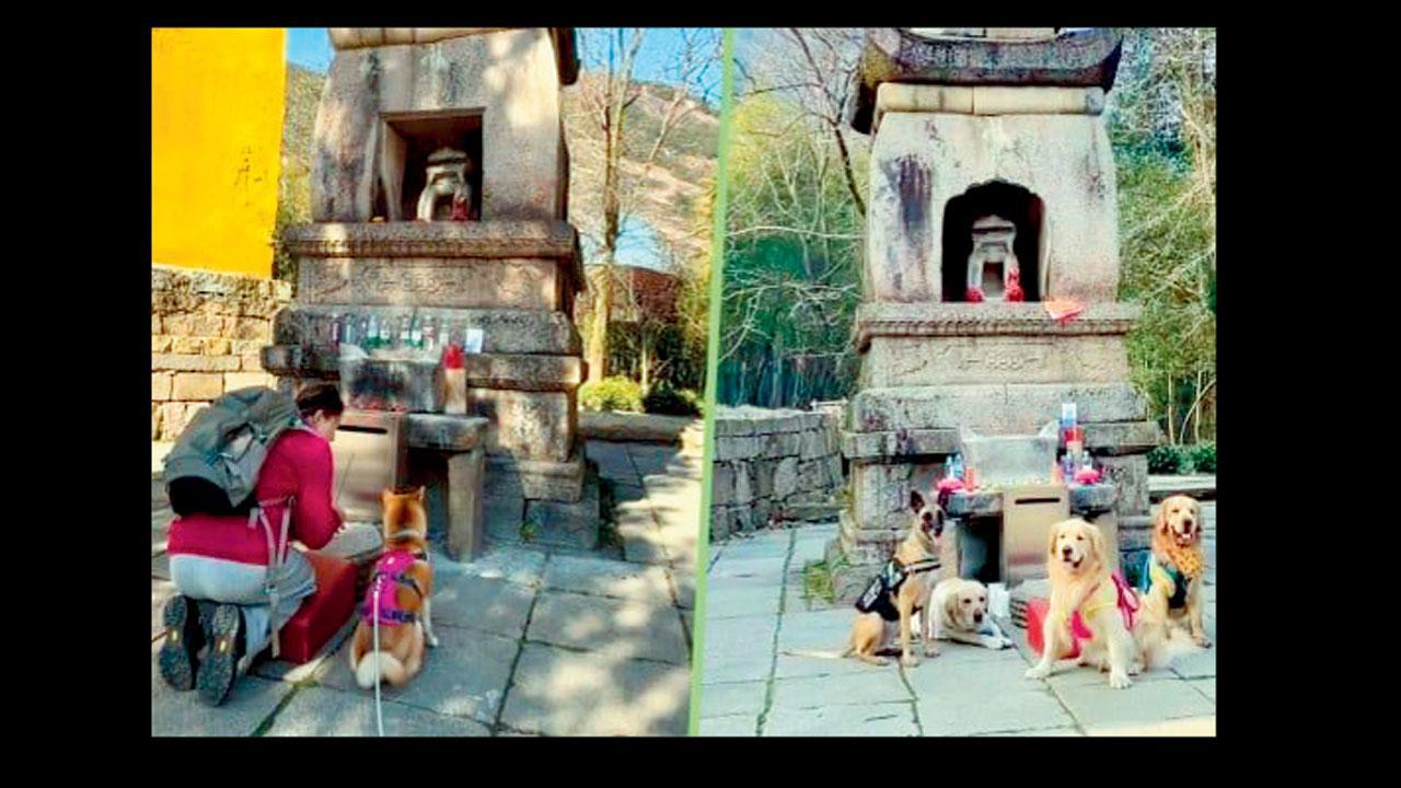 ચીનમાં છે કૂતરાઓના ભગવાનનું મંદિર