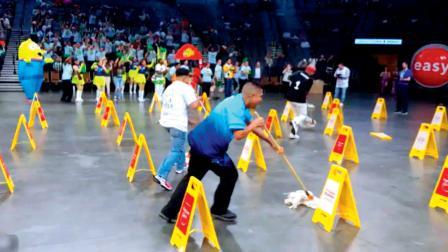 તસવીર સૌજન્યઃ સોશ્યલ મીડિયા