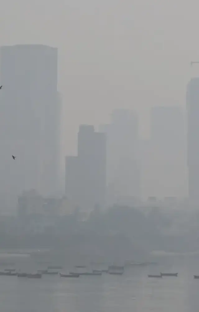 ધુમ્મસની ચાદરને લીધે ધૂંધળી થઈ મુંબઈ