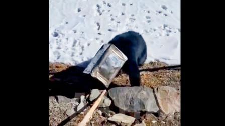 તસવીર સૌજન્યઃ સોશ્યલ મીડિયા