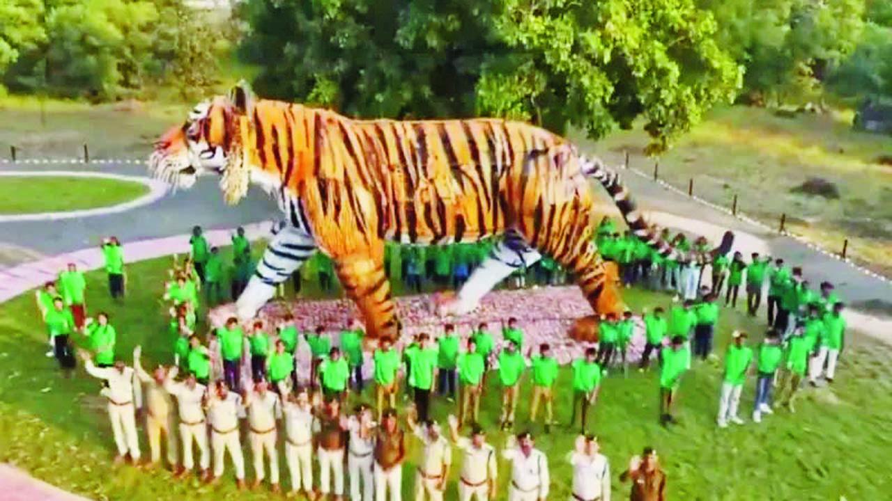 આ કલાકૃતિને દુનિયાની સૌથી મોટી વાઘની કૃતિ ગણવામાં આવી છે