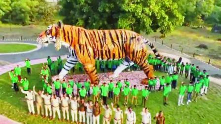 આ કલાકૃતિને દુનિયાની સૌથી મોટી વાઘની કૃતિ ગણવામાં આવી છે