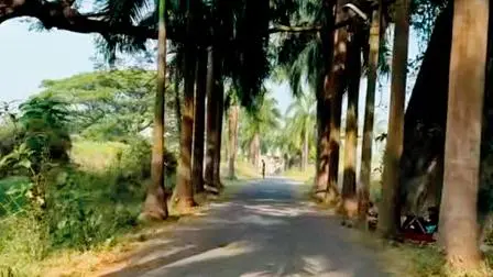 વસઈ પોલીસ-સ્ટેશનની જમીન પર બનાવવામાં આવેલો ડામરનો રસ્તો