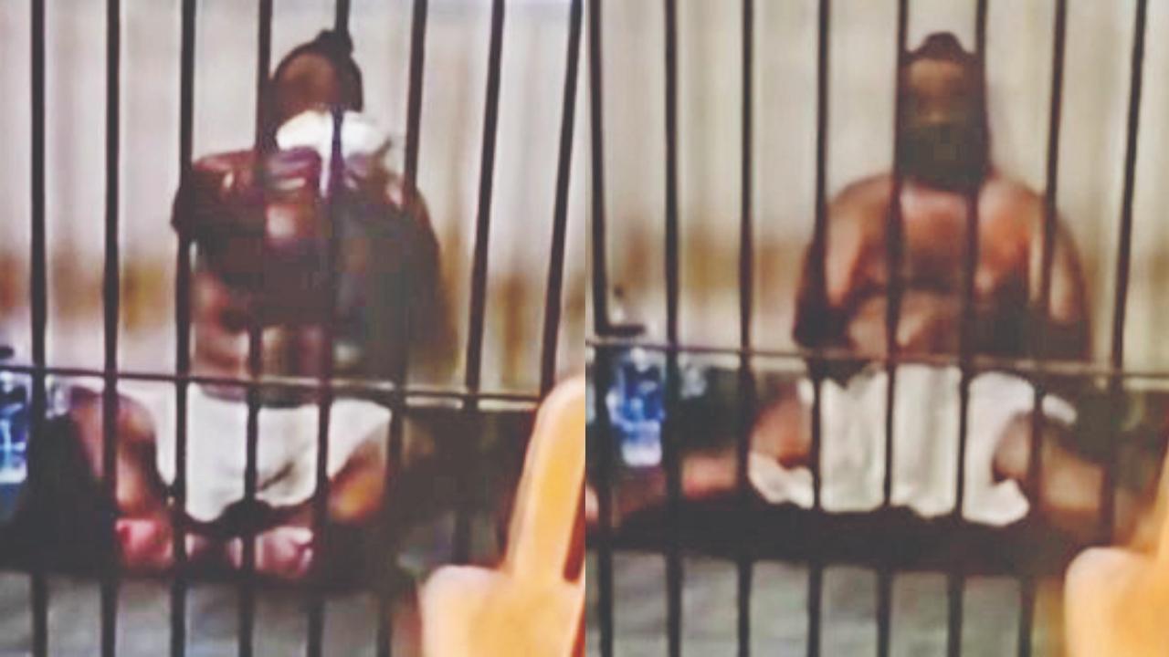 વાયરલ વીડિયોમાંથી સ્ક્રીન શૉટ