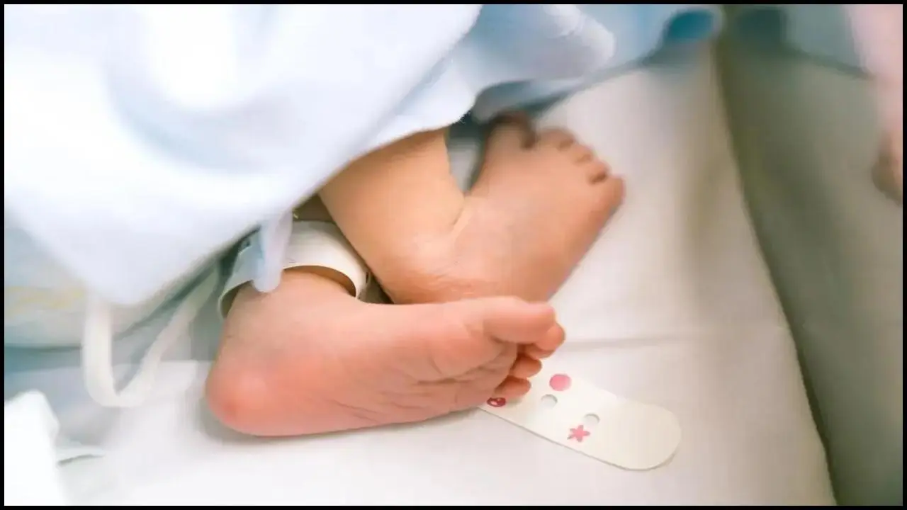 પ્રતીકાત્મક તસવીર (સૌજન્ય: મિડ-ડે)