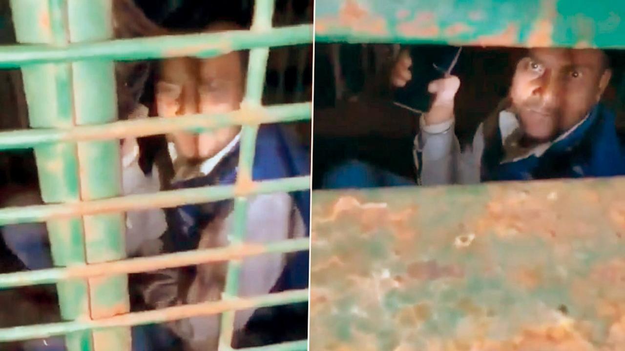 વાયરલ વીડિયોમાંથી સ્ક્રીન શૉટ