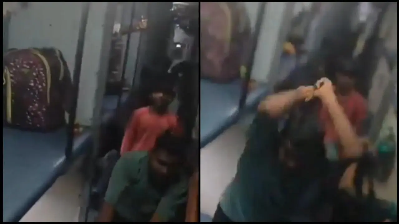 વાયરલ વીડિયોનો સ્ક્રીનગ્રૅબ (તસવીર સૌજન્ય: સોશિયલ મીડિયા) 