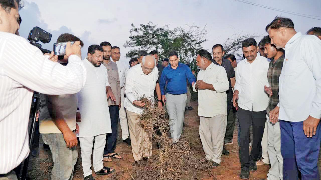 ભૂપેન્દ્ર પટેલે ખેતરમાં જઈને નુકસાનીની જાતતપાસ કરી હતી અને ખેડૂતોની વ્યથા સાંભળી હતી