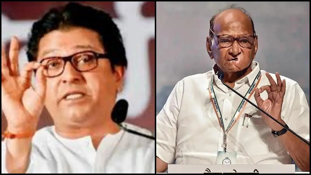 રાજ ઠાકરે અને શરદ પવાર ફાઇલ તસવીર (સૌજન્ય: મિડ-ડે)