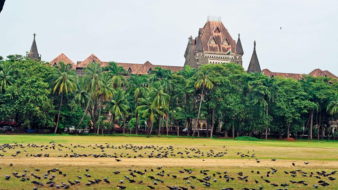 ફાઇલ તસવીર