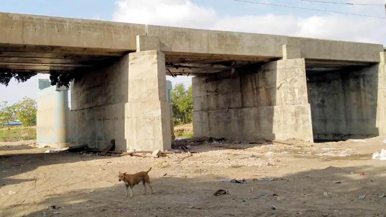 પ્રતીકાત્મક તસવીર