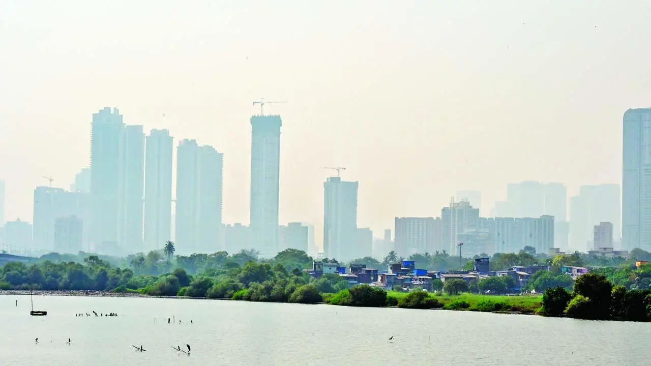 ધુમ્મસમાં ઢંકાયેલાં શિવડીનાં બિલ્ડિંગ્સ. તસવીર: શાદાબ ખાન