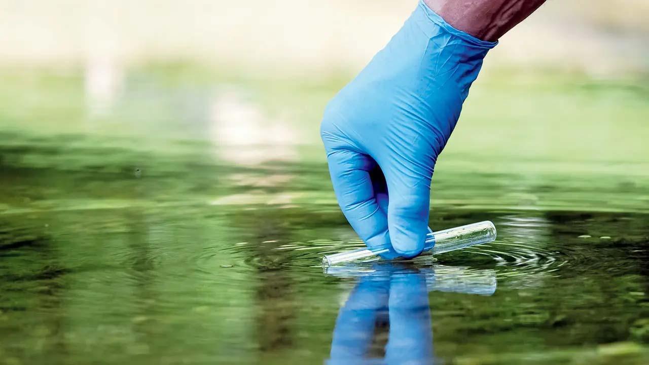 પ્રતીકાત્મક તસવીર