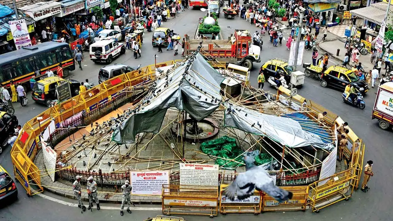 દાદરનું બંધ પડેલું કબૂતરખાનું.